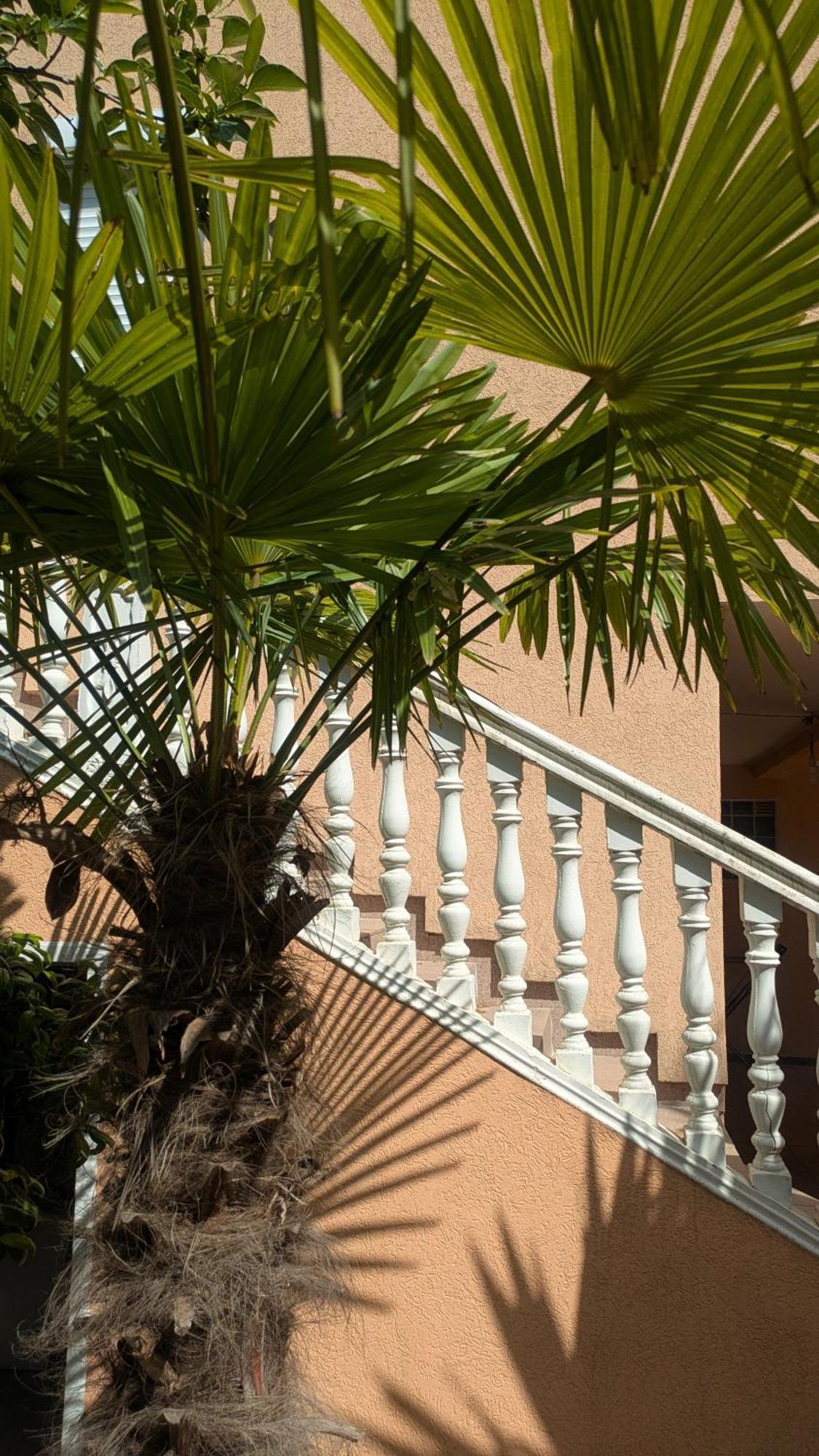 Apartments Montenegrina Ulcinj Eksteriør bilde